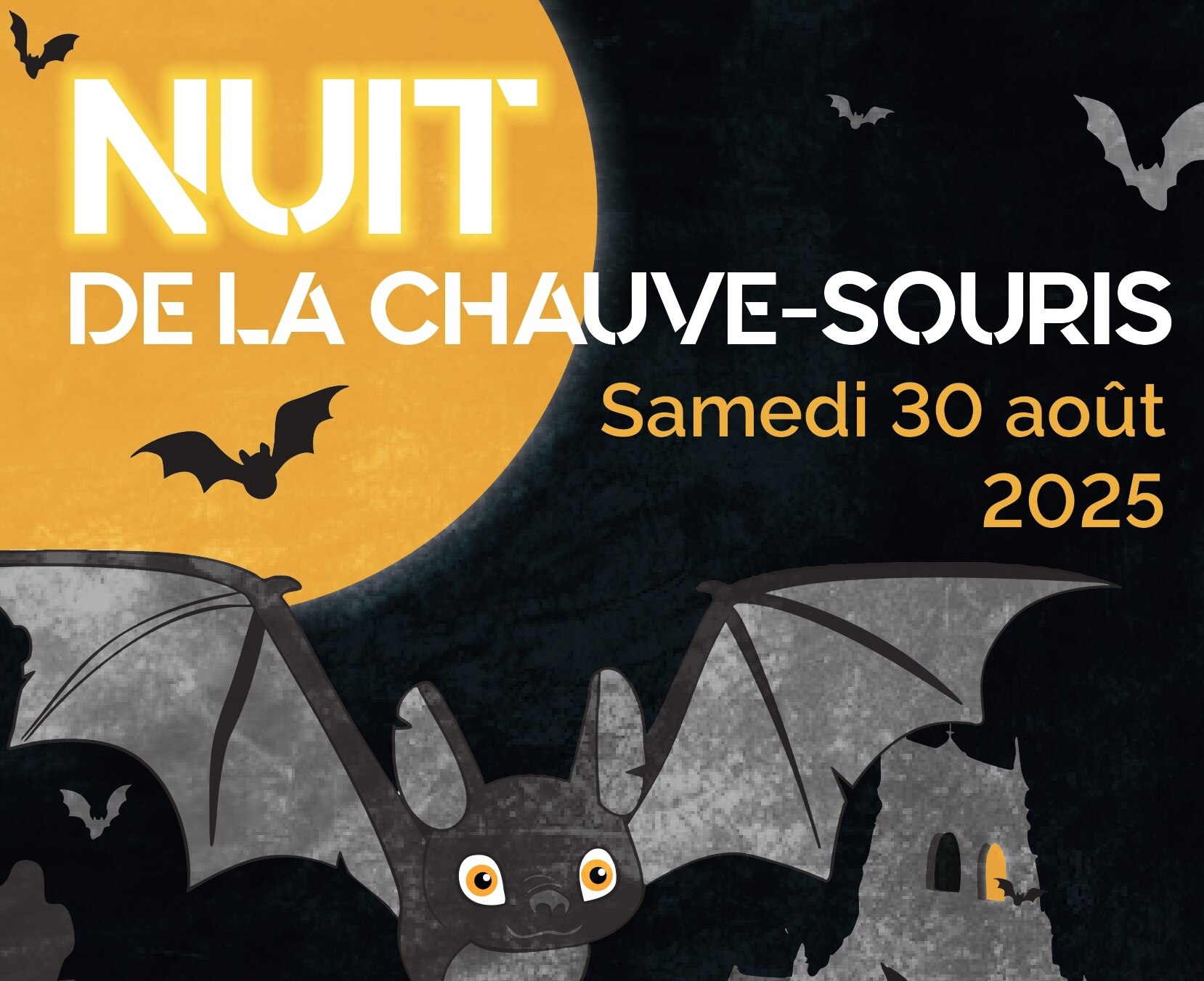 Nuit de la chauve-souris